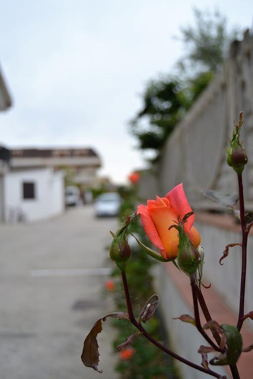 Il Girasole Formia Guesthouse Rooms Exteriér fotografie