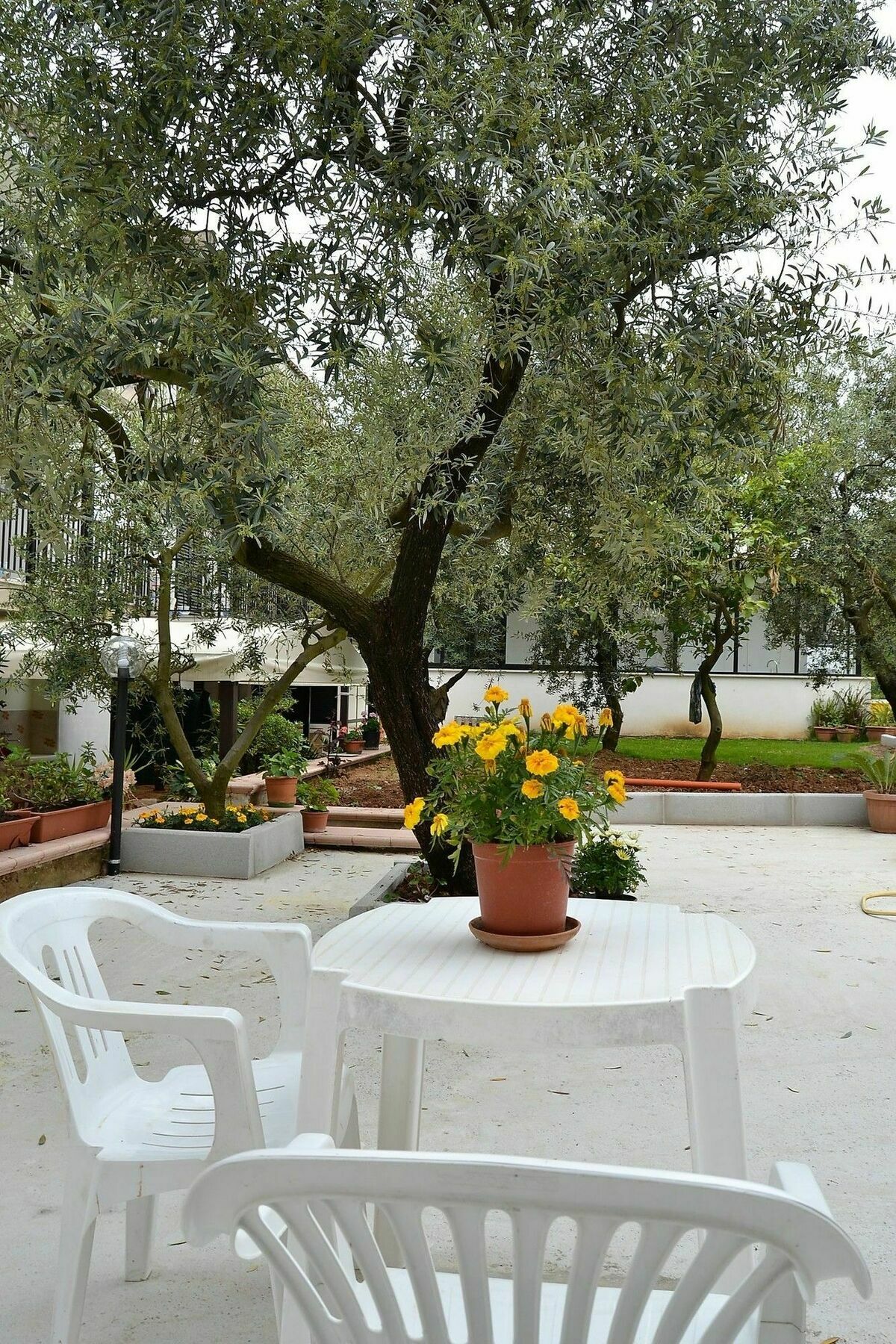 Il Girasole Formia Guesthouse Rooms Exteriér fotografie